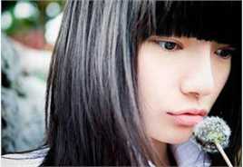 最全常春晓壁纸