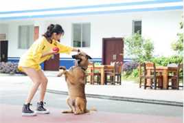 金美伶《警犬来啦》高清剧照