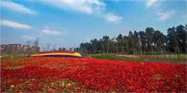 李燕宁作品生活照相册