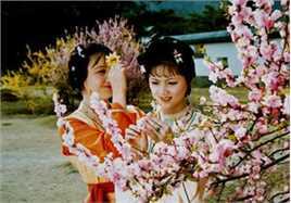 最优质张莉在87版《红楼梦》薛宝钗中的相册