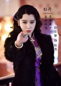 侍宣如电视最全剧照