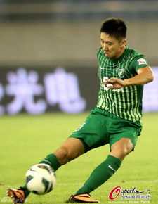 高迪2013赛季中超联赛上的图片图集