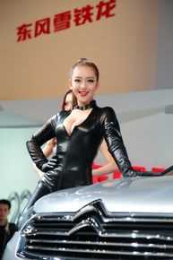 曹阳(Cao Yang)最新2012上海车展猫女图集