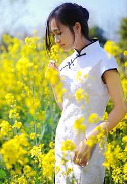 精选油菜花地里古典旗袍美女清纯图片图册