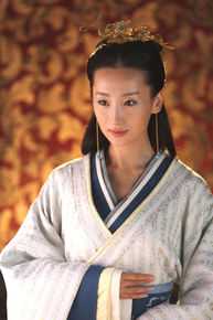 精选高洋在《美人心计》薄巧慧中的图册