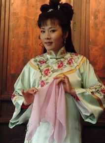 何赛飞(Caifei He)参演作品精选剧照