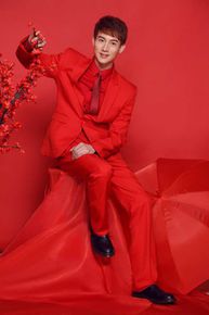 王龙华(Henry)精选新春图册