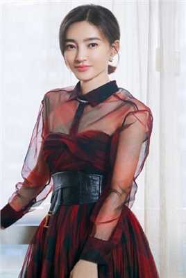 特别专辑王丽坤红色薄纱长裙端庄不失性感图片
