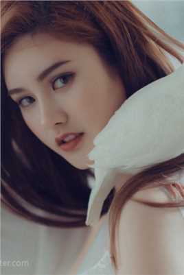 精选魅力宅男女神和鸽子拍摄艺术视觉作品图册