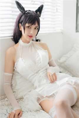 最全蕾丝猫耳性感女郎白丝袜惑唯美艺术壁纸