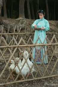 霍思燕(Huo Siyan)在《玫瑰江湖》饰演女一号君绮罗中的