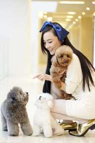 最全霍思燕(Huo Siyan)精彩图册