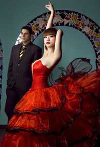 柳岩(Ada)最全2012壁纸