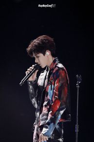 王源(Roy)演唱会生活照相册