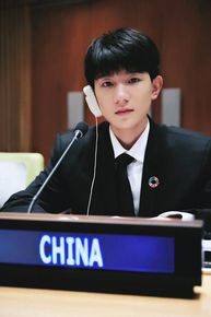 王源(Roy)联合国经济及社会理事会2017青年论坛青年代表并发言图册