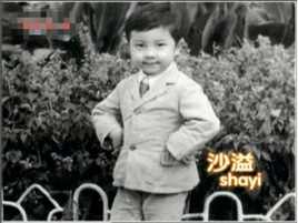 沙溢早期性感图片壁纸