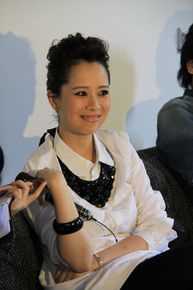 最新海清(Christina)在2011年《心术》新闻发布会中的壁纸