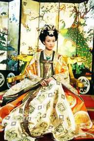 张庭在《美人天下》武媚娘中的